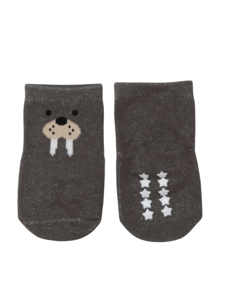 Cozy Walrus Socks Combo for Boys- Front & Back View