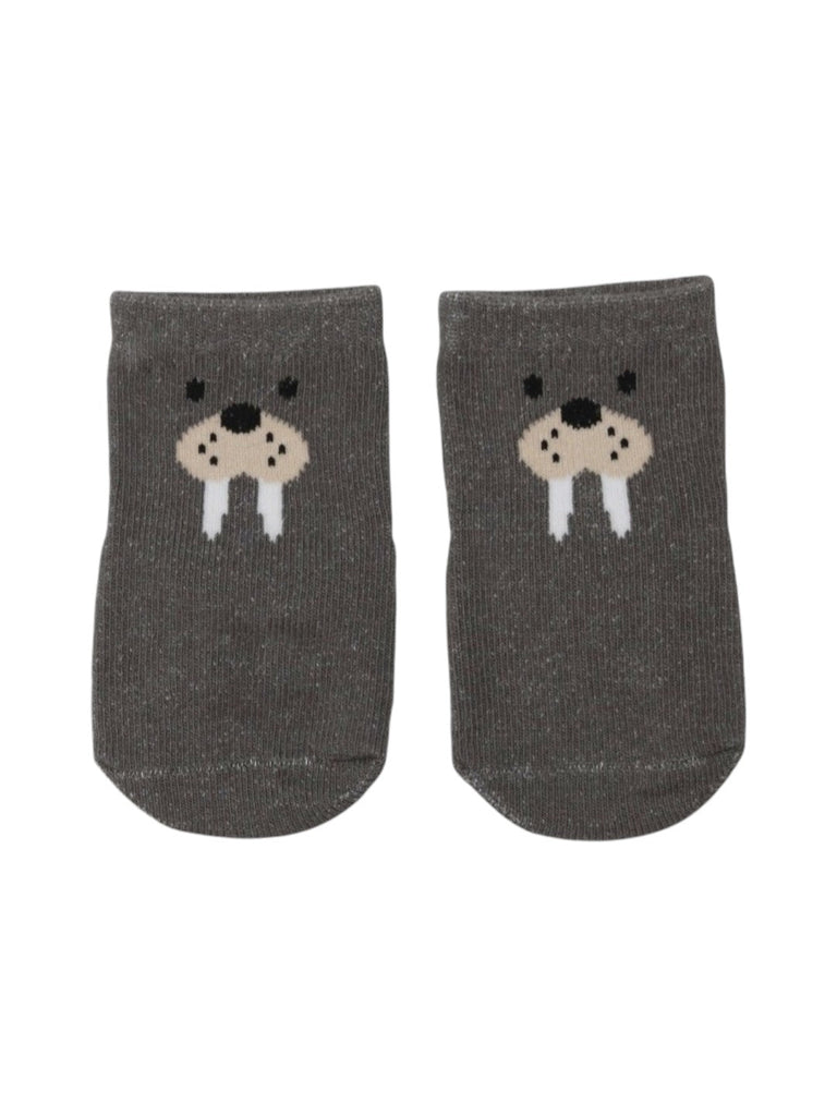 Cozy Walrus Socks Combo for Boys- Full View