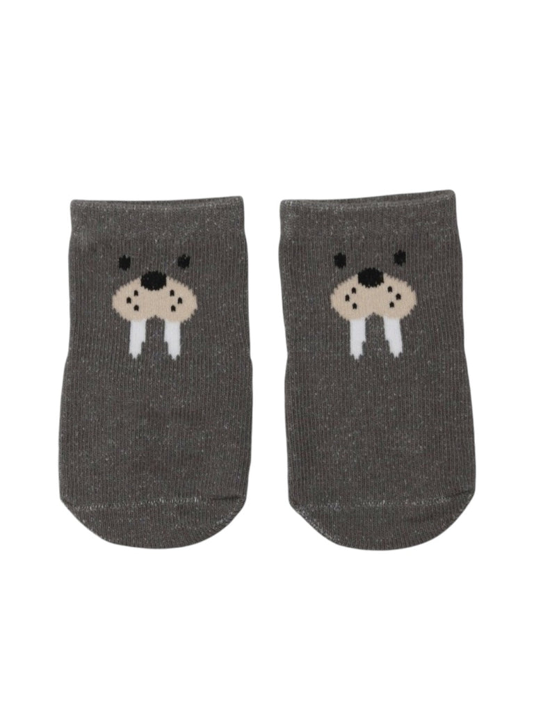 Cozy Walrus Socks Combo for Boys-  Full View