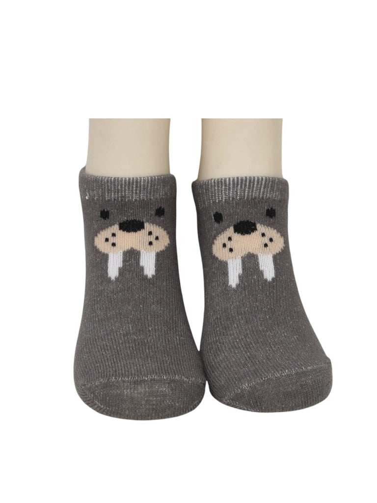 Cozy Walrus Socks Combo for Boys- Full View