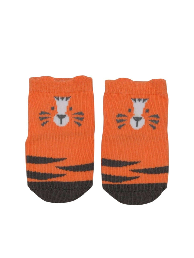 Cozy Fierce Tiger Socks Combo for Boys-  Front View