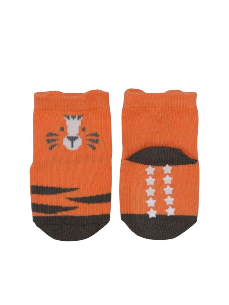 Cozy Fierce Tiger Socks Combo for Boys-  Front & Back  View