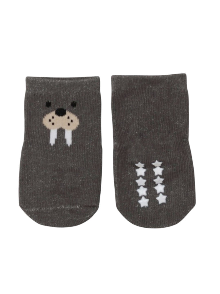 Cozy Walrus Socks Combo for Boys- Back View