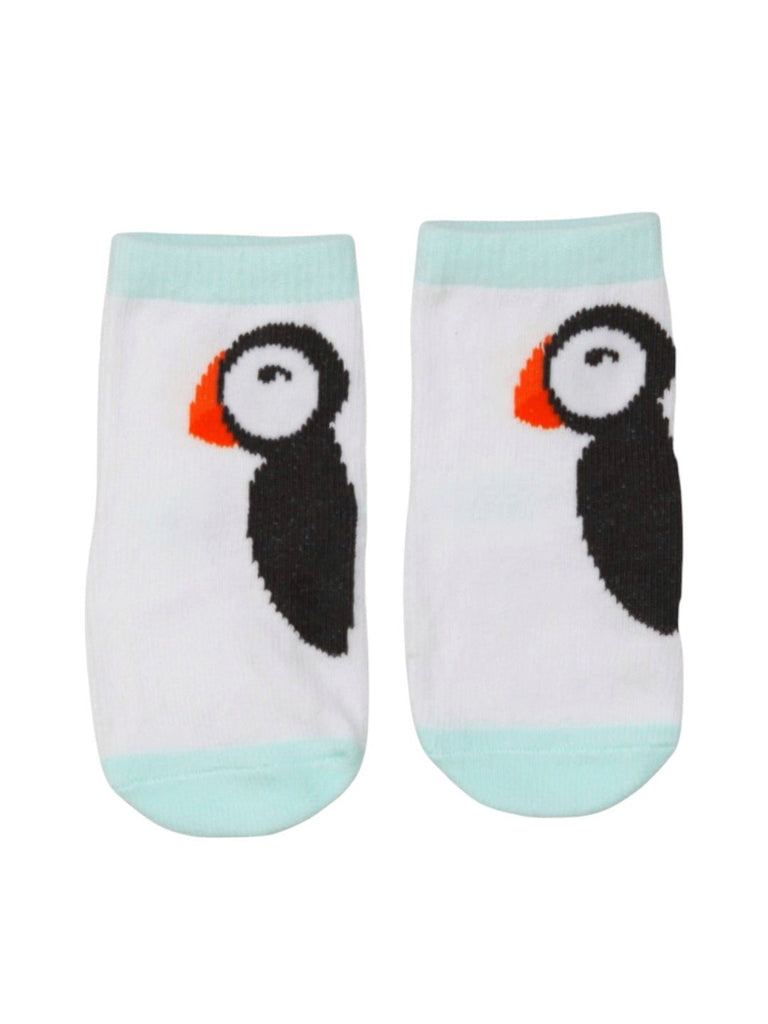 Charming Penguin Socks Set for Boys- Full Front View