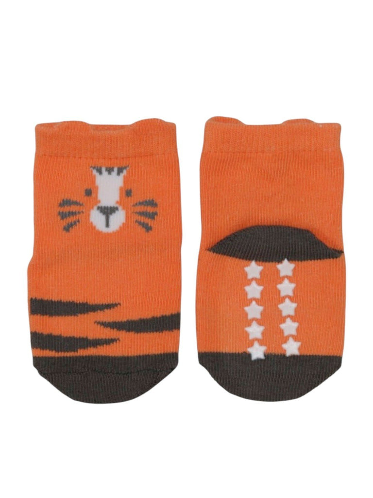 Playful Tiger Socks for Boys- Front & View