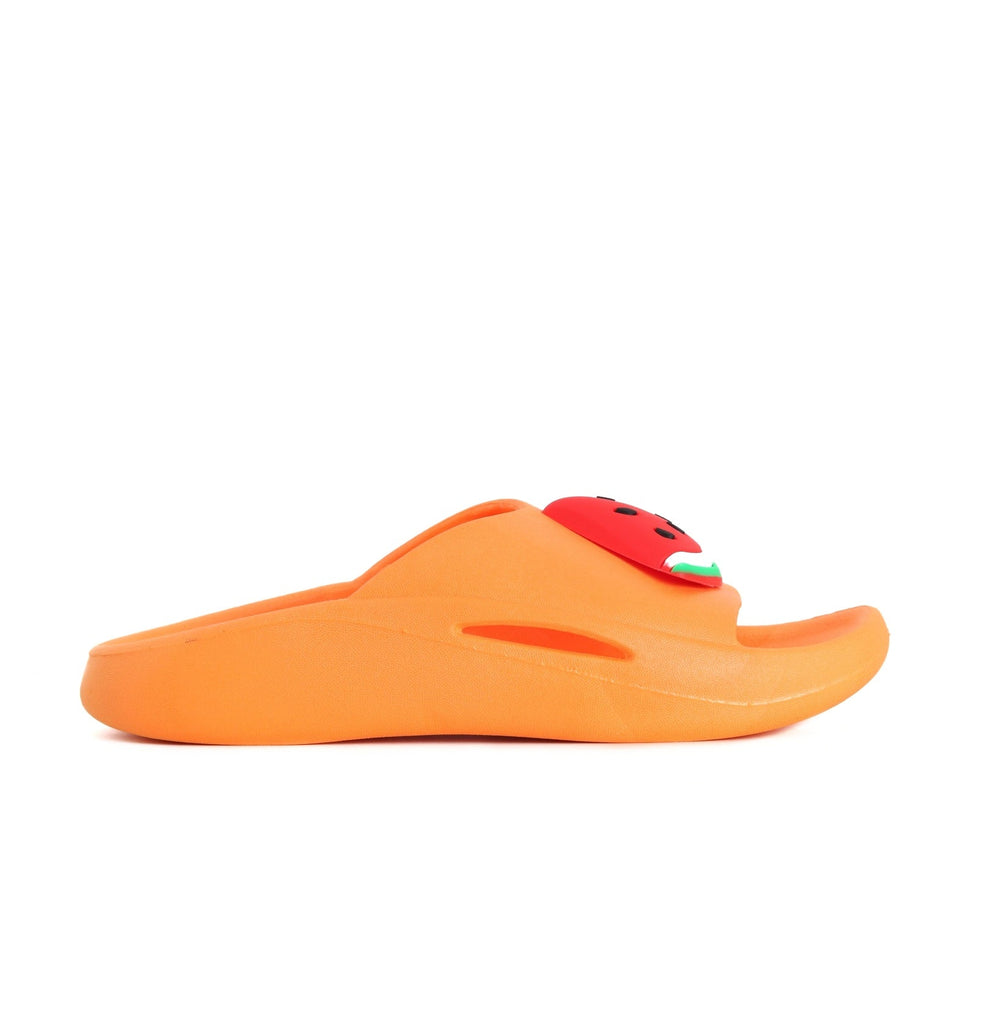 side View of Orange Slide with Watermelon Applique