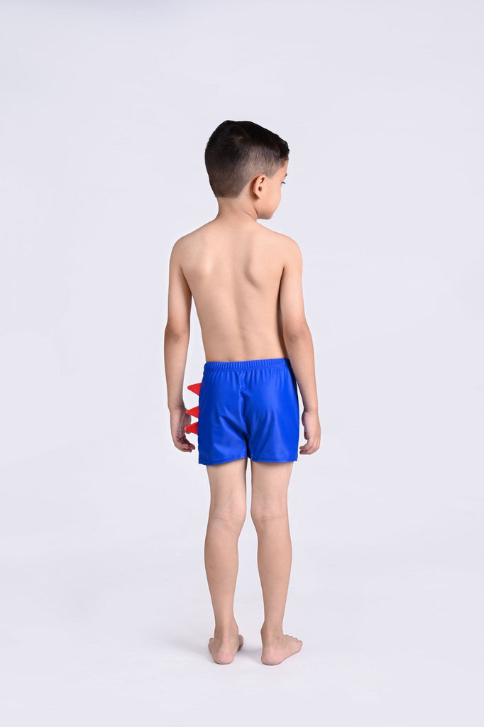 Back view of a boy wearing blue dino swim shorts, highlighting the comfortable elastic waist